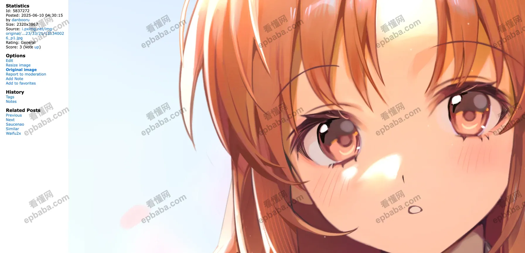 safebooru：搜索二次元动漫角色CG、立绘、同人插画的免费神器！