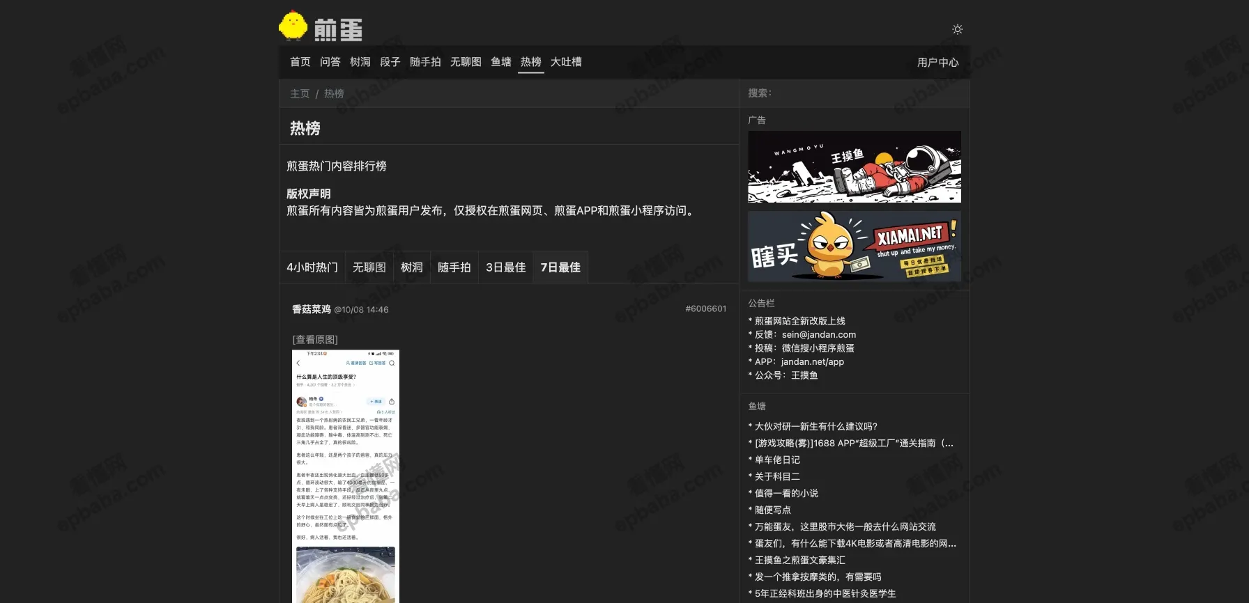 煎蛋网：小众的摸鱼必看网站，段子、吐槽、梗图表情包应有尽有！