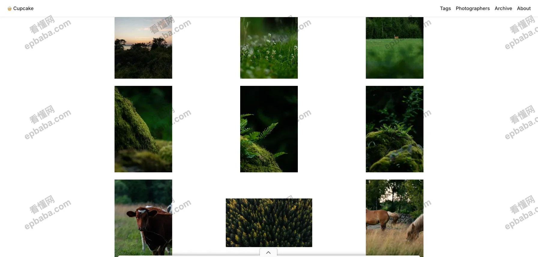 Cupcake：CC0、无版权可商用的免费图片摄影素材库！张张精美~