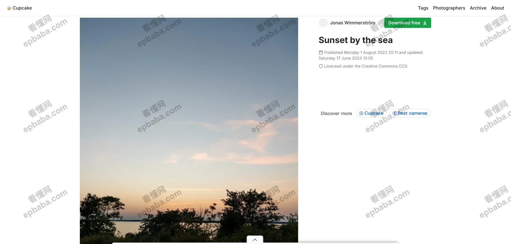 Cupcake：CC0、无版权可商用的免费图片摄影素材库！张张精美~