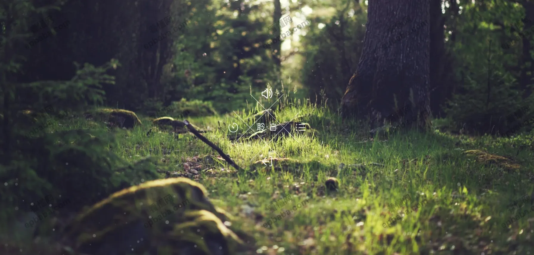 聆 · 音：极简的免费白噪音网站，支持12种白噪音！