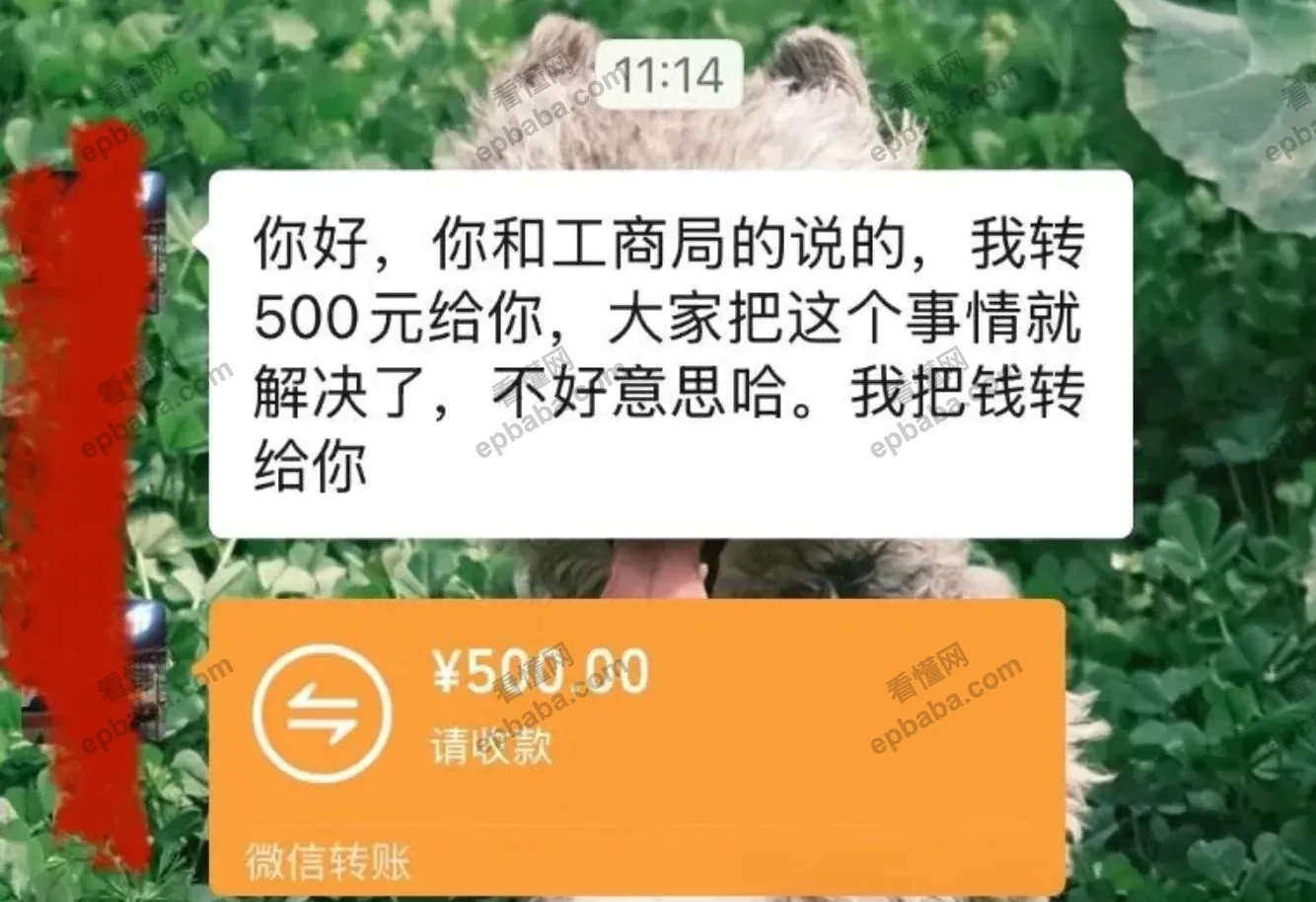 职业打假：“有机蔬菜”赔偿500元！产品不要随便带上“有机”