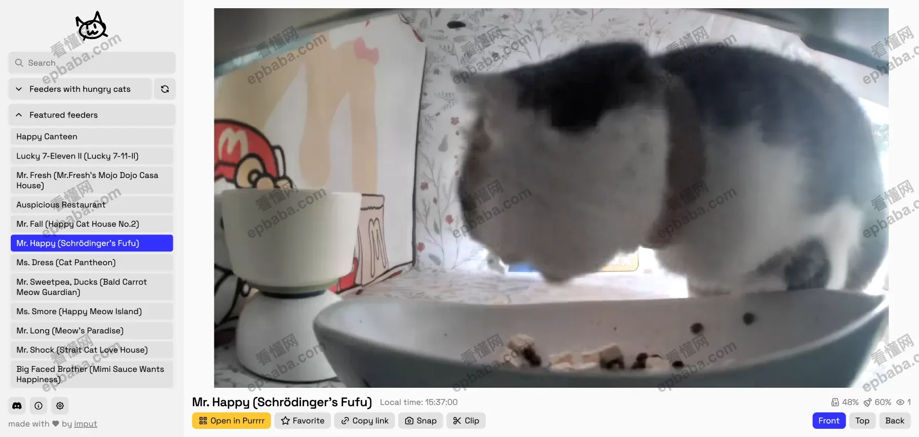 Meow Camera:世界喂猫摄像头一网打尽,爱猫人士"狂喜"的网站!