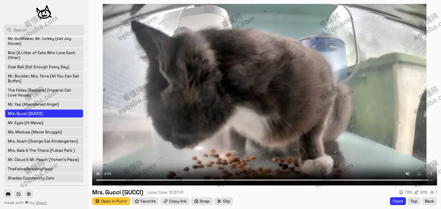 Meow Camera:世界喂猫摄像头一网打尽,爱猫人士"狂喜"的网站!