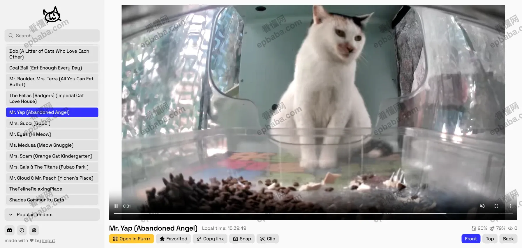 Meow Camera:世界喂猫摄像头一网打尽,爱猫人士"狂喜"的网站!